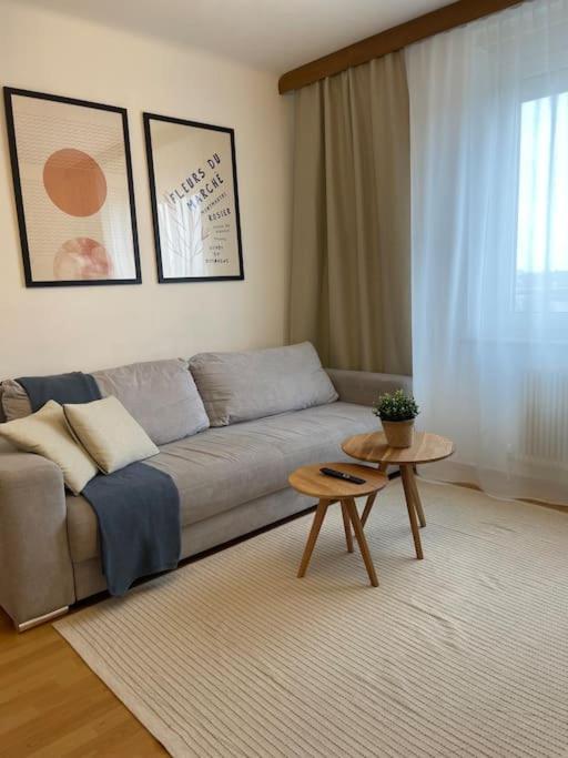 In Sova 2 Apartment Graz